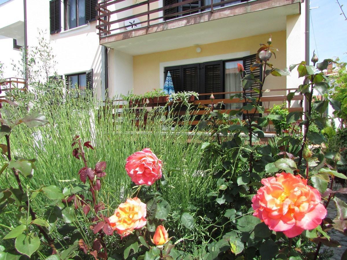 Mirela House With Apartment Umago Esterno foto
